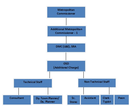 Organization Chart