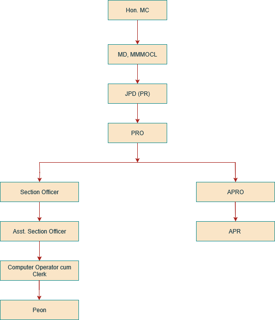 organisation chart