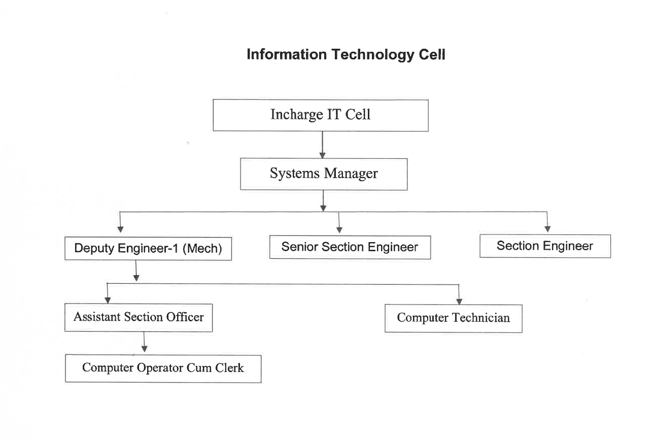Organization Structure IT Cell