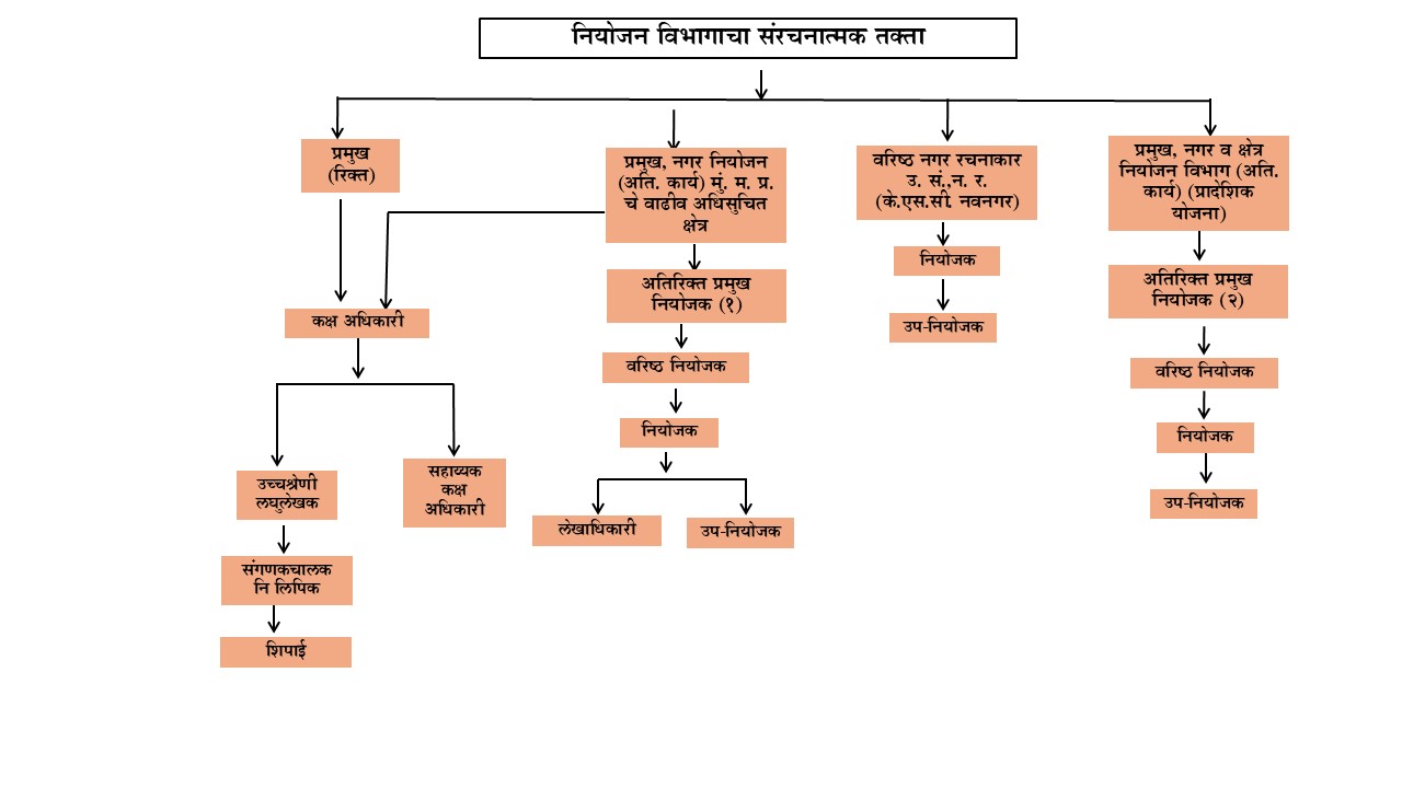 Organization Structure Planning